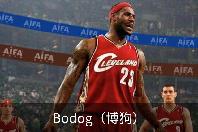 Bodog（博狗）公司简介